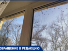 Из-за навоза соседей мухи заполонили поселок под Волжским: ВИДЕО