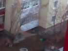 Труп под балконами: очередное печальное происшествие в Волжском