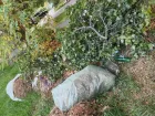 «Надеемся, что это не останется здесь на зиму»: жители Волжского пожаловались на свалку на Пушкина