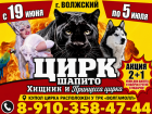 Билеты в цирк по акции 2+1
