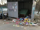 Сетевой магазин разводит крыс в мусорках у школы в Волжском