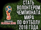 Волжане смогут стать волонтерами Чемпионата мира по футболу FIFA 2018