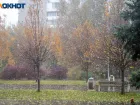 Снежно и тепло: погода на неделю