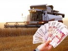 Фермеры из Быково обманули государство на 61 миллион рублей