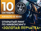 В Волжском пройдет открытый ринг по кикбоксингу