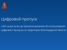 Сайт «Цифрового пропуска» стал недоступным для жителей области