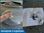 Фонари пришли все поломанные, как будто их кидали и топтались, - волжанин