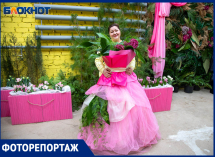 Где найти весну в феврале? В Волжском ботаническом саду расцвела крупнейшая выставка «Праздник первоцветов»