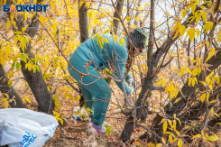 Чем заняться на даче в ноябре: полезная шпаргалка для волжского дачника