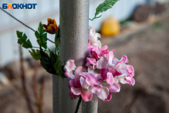 7 важнейших дел в саду до распускания почек: памятка садоводу