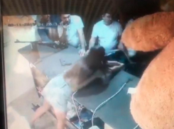 Задержан дебошир, разбивший девушке голову прикладом