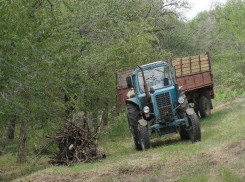 В Волжском уничтожают карантинный сорняк