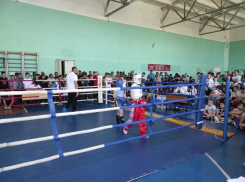 Волжские спорстмены отличились на соревнованиях по кикбоксингу