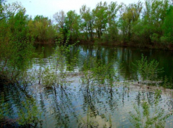 Река Ахтуба в Волжском разлилась из-за увеличенного сброса воды 