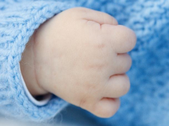 За прошедший год 311 детей родились благодаря ЭКО в Волгоградской области