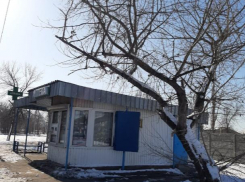 Общественник из Волжского продолжает «санитарить» город