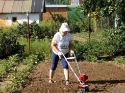 У работавшей в огороде волжской дачницы украли ноутбук