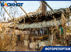 Здесь вам чарку не нальют: заброшенная «Лавка» в Киляковке заросла травой