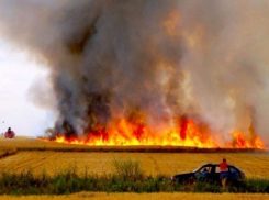 В Волгоградской области объявлено первое штормовое предупреждение по пожарам в этом году