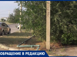 Сломанные ветки прибьют детей и родителей: засохшие деревья пугают жителей Волжского