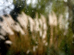 Дождь, ветер и тепло будут во вторник