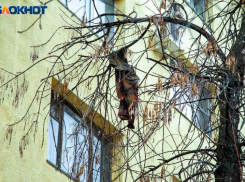 5-летний ребенок выпал из окна 2 этажа в Волжском