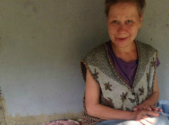 Волжские бомжи воруют корм у бездомных котят