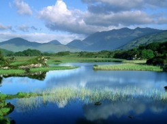 Юные волжане встретятся на празднике «День природолюбия»