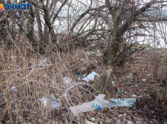 Большинство волжан признались, что не принимают участие в месячнике по благоустройству