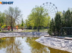 Солнечное утро – дождливая ночь: прогноз погоды в Волжском
