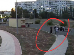В Волжском вандалы оторвали поручень для инвалидов и пытались взломать им хозблок