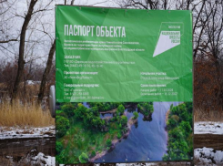 Ведутся работы по расчистке Волго-Ахтубинской поймы