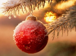 Как провести новогодние каникулы в Волжском