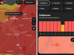 Красный код опасности по аллергии объявили в Волжском 