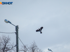 Снег с дождем испортит праздник Волжанам: прогноз погоды на четверг