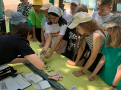 Юных волжан ознакомили с работой экспертов-криминалистов в оздоровительном лагере