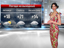 В День темновласых девиц в Волжском будет облачно: прогноз погоды