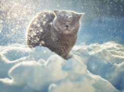 «Зимний» туман опустится на Волжский к концу недели