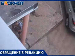 «Били стекло о подъезд дома»: волжанка сняла на видео подростков-хулиганов