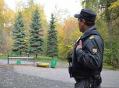 В день полиции в Волжском будет пасмурно