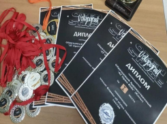 Волжане стали обладателями четырех призовых мест на Всероссийском чемпионате 