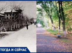 Первые деревья в сквере Комсомольском в Волжском высадили весной 1951 года
