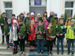 Волжские школьники посадили аллею своего класса