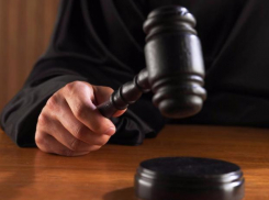 Дознаватель судебных приставов в Волжском халатно отнеслась к своей работе: виновная осуждена