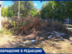 В 2-месячном сухостое в пожароопасный сезон утопают дворы в Волжском 