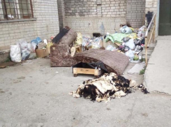 Full HD камеры с инфракрасной подсветкой установили, чтобы наблюдать за стихийными свалками в Волжском 