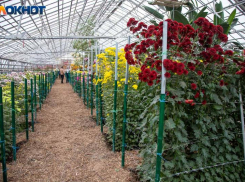 Матвеев день - Ветродуй: древние традиции, приметы и запреты