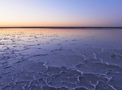 Эльтон включили в ЮНЕСКО