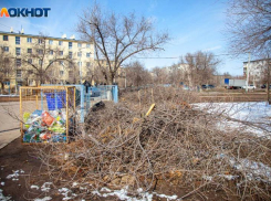 7 миллионов рублей выделили на вывоз веток и сучьев в Волжском