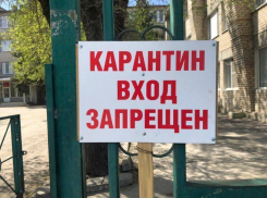 Четыре человека заразились COVID-19 за сутки в Волжском